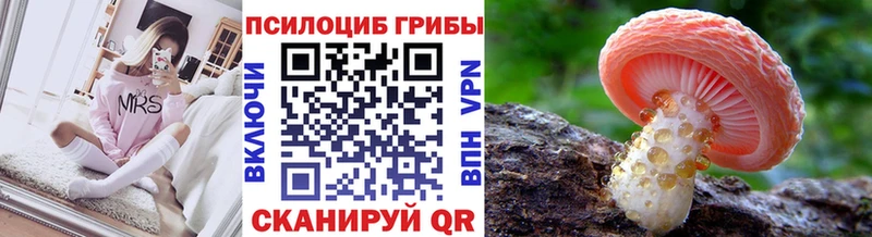 OMG tor  где купить наркоту  Севск  Галлюциногенные грибы мухоморы 